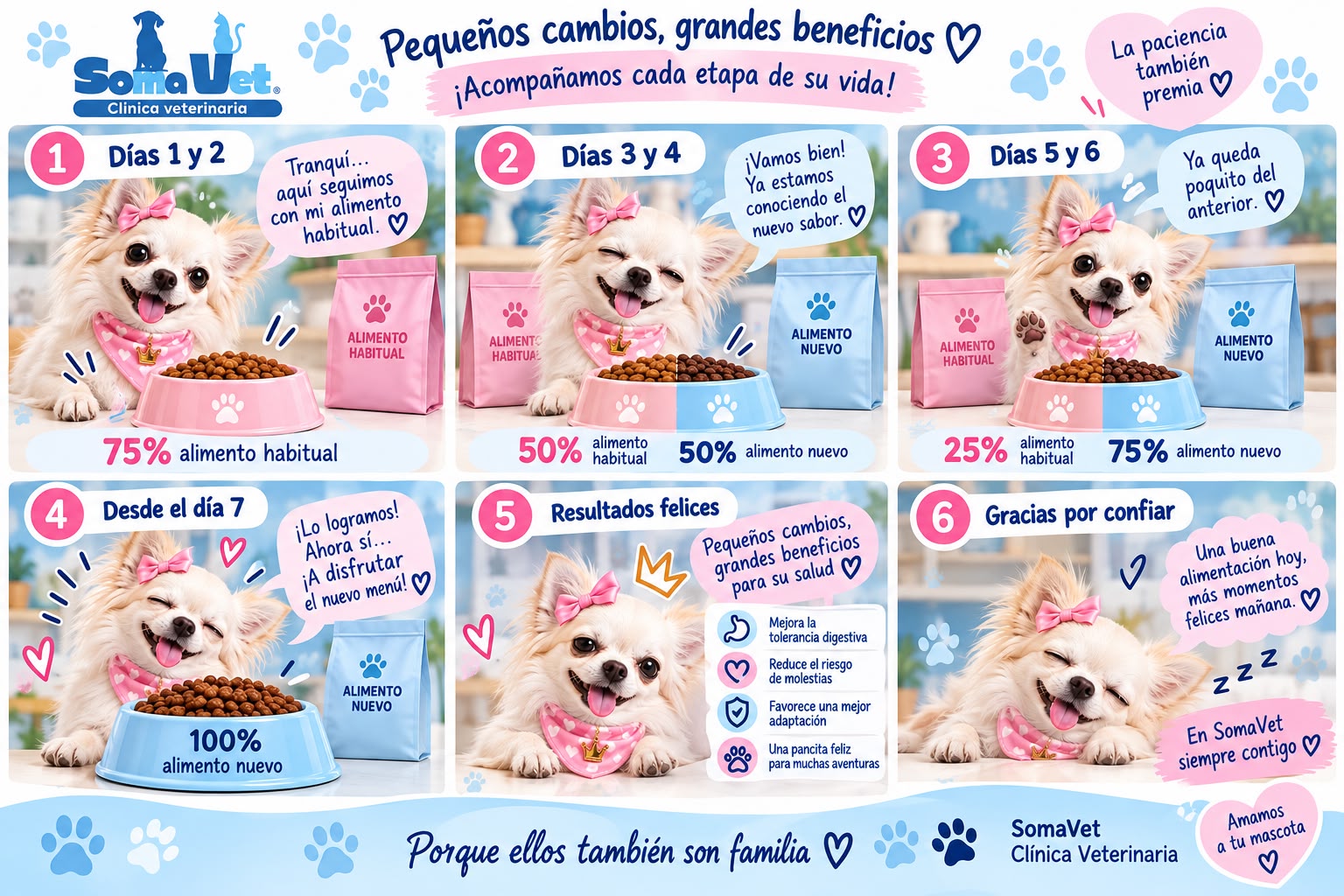 Cómo cambiar el alimento de tu mascota en 7 días